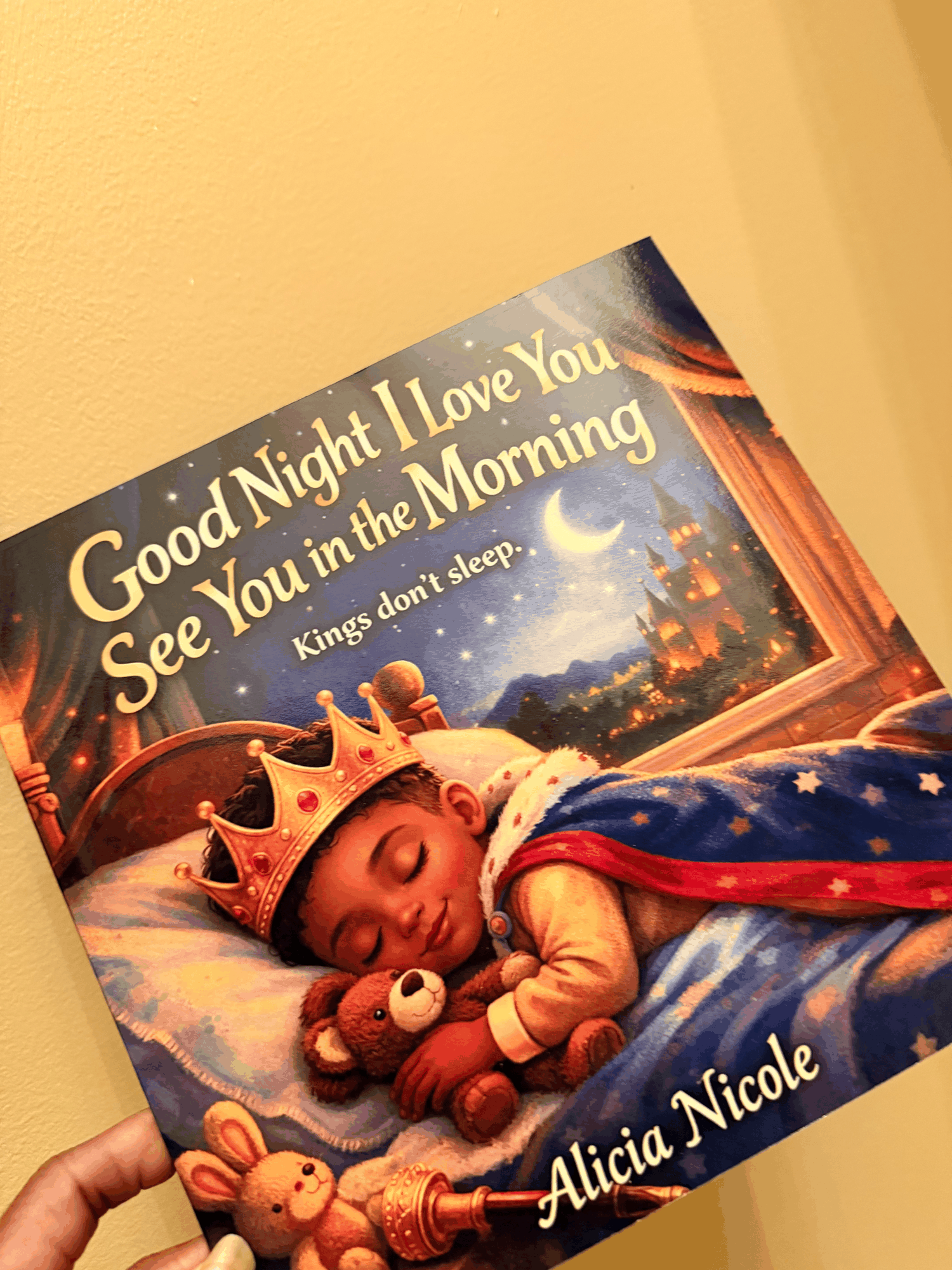 Good Night, I Love You. See You in the Morning. (Paperback)